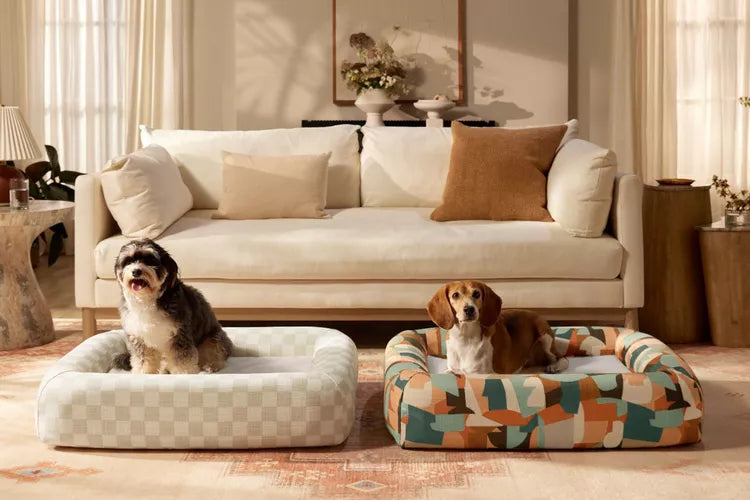 Choosing the Perfect Pet Bed for Comfort